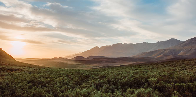 wildehondekloof accommodation (1)