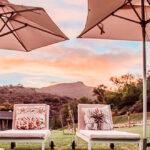 wildehondekloof accommodation (8)