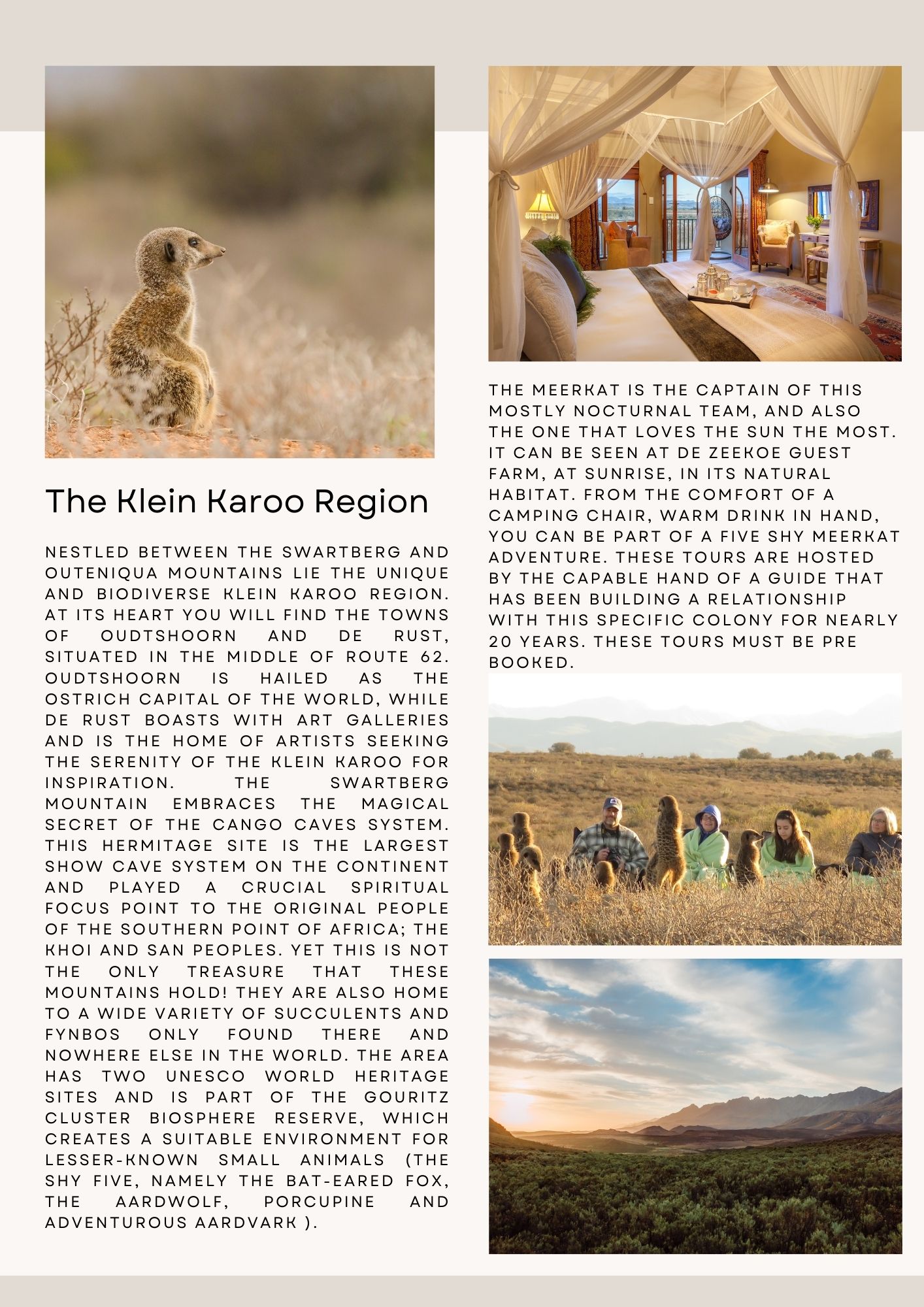 karoo conservation retreat (2)